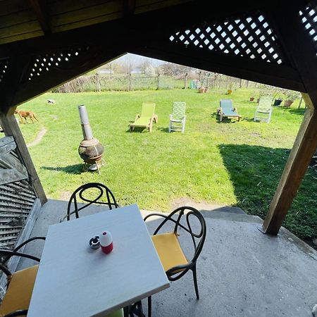Greenpark Garden Villa Family Apartments Near Tokaj Szerencs Dış mekan fotoğraf